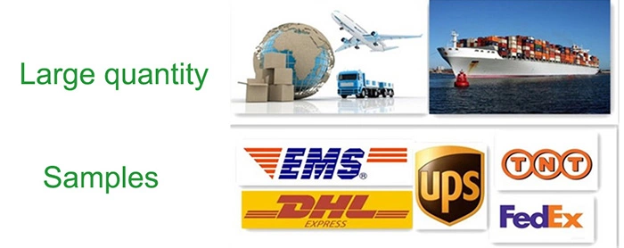 OCR Scanner And Translater Learning Machine